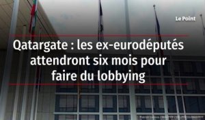 Qatargate : les ex-eurodéputés attendront six mois pour faire du lobbying
