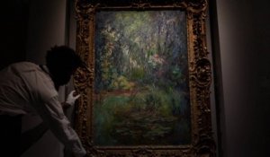 Une étude suggère que le travail de Monet illustre l'accélération de la pollution
