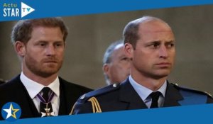 Harry et William : ce qu'ils ont prévu de faire ensemble (ou pas) au couronnement de Charles III