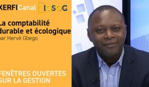 La comptabilité durable et écologique [Hervé Gbego]