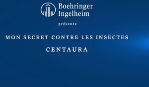 Mon secret contre les insectes : Centaura