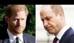 Le roi Charles a averti que sa tentative de guérir la "vaste faille" de William et Harry était vouée