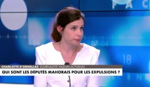 Charlotte d'Ornellas : «Une critique de l'immigration illégale»