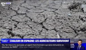 Lees agriculteurs espagnols tentent de sauver leurs récoltes face à la sècheresse