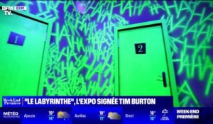 "Le Labyrinthe", l'exposition de Tim Burton pour une plongée au cœur de l'univers du cinéaste