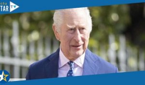 Charles III : sa dernière conversation avec Diana révélée