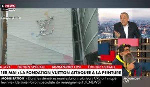 VIDÉO - La fondation Louis Vuitton recouverte de peinture par des militants  écologistes