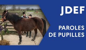 Paroles de pupilles (JDEF)