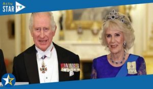 Charles III et Camilla : cette immense star qui s’est invitée à leur garden party !