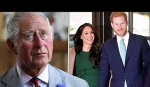 Le roi Charles "veut se réconcilier avec Harry et Meghan" après le couronnement