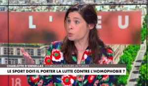 Charlotte d'Ornellas : «Le drapeau LGBT est un étendard politique»