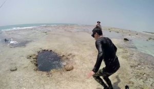 Il plonge dans un trou mystérieux en bord de mer et disparait