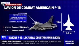 Qu'est-ce que l'avion F-16, que les États-Unis vont offrir en nombre à l'Ukraine?