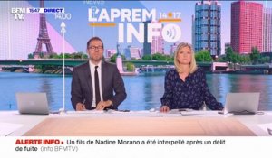 Un des fils de Nadine Morano interpellé et placé en garde à vue après un délit de fuite