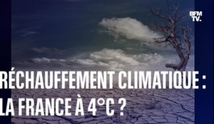 À quoi ressemblerait la France avec un réchauffement climatique de 4°C?