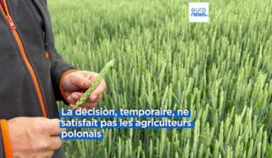 Les agriculteurs polonais ne veulent plus des céréales ukrainiennes