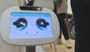 Au salon VivaTech, le boum des robots "émotionnels"