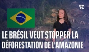 Déforestation: le plan du président Lula pour sauver la forêt amazonienne