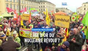 Le renouvelable a-t-il sonné la fin de l'âge d'or du nucléaire ?