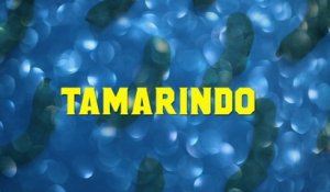 Danny Felix - Tamarindo (LETRA/En Vivo)