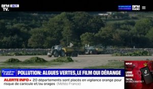 "Les algues vertes", au cinéma ce mercredi, revient sur la pollution au nitrate en Bretagne