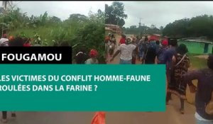 [#Reportage] Fougamou : les victimes du conflit homme-faune roulées dans la farine ?