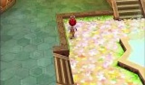 Dragon Quest IX : Les Sentinelles du firmament online multiplayer - nds