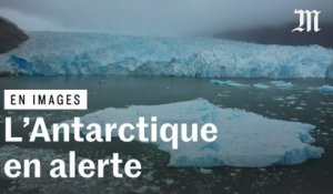 « Une situation de danger » : la fonte des glaces atteint l'Antarctique, jusqu'ici préservé