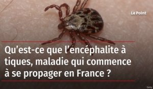 Qu’est-ce que l’encéphalite à tiques, maladie qui commence à se propager en France ?