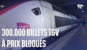 SNCF: 300.000 billets TGV à 29, 39 ou 49 euros pour le mois d'août