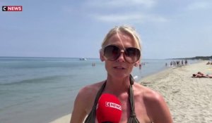 «Les moments de canicule sont de plus en plus longs» : les Corses inquiets par la vague de chaleur qui touche l'île de Beauté