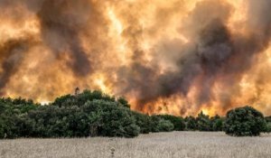 Incendies en Grèce : des habitants évacués pour échapper aux flammes