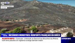 Deux des trois incendies autour d'Athènes sont contenus, des renforts français envoyés en Grèce