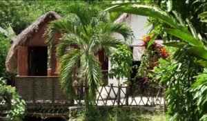 Fenêtre sur l'Outre-mer - Martinique : la savane des Esclaves