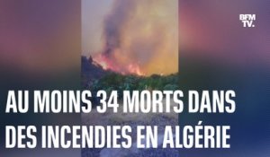 De violents incendies font au moins 34 morts en Algérie