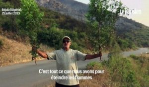 « Nous avons utilisé des seaux remplis d'eau » : en Algérie, des habitants mobilisés pour maîtriser le feu