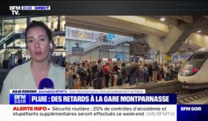Gare Montparnasse: entre 30 minutes et 2 heures de retard pour les voyageurs