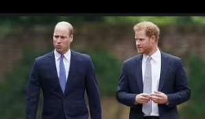 La «confrontation» de William et Harry sur Meghan a conduit les Sussex à se retirer du voyage à Balm