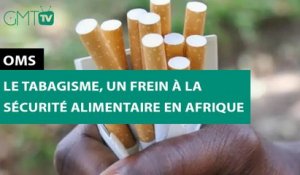 [#Reportage] OMS : le tabagisme, un frein à la sécurité alimentaire en Afrique