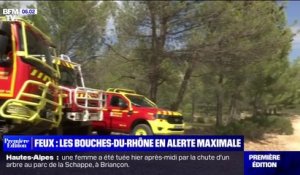 Feux de forêt: le département des Bouches-du-Rhône classé en vigilance rouge