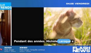 Michèle Laroque lance un message intrigant sur les problèmes de Pierre Palmade.