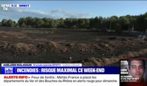 Incendie dans l'Hérault: un petit départ de feu maîtrisé en moins d'une heure ce vendredi après-midi