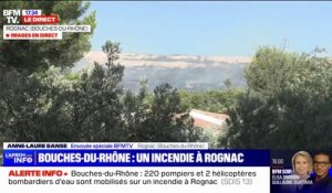 Incendie dans les Bouches-du-Rhône: 220 sapeurs-pompiers mobilisés dans la commune de Rognac pour ralentir la progression des flammes