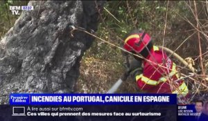 Incendies au Portugal, canicule en Espagne... la péninsule ibérique étouffe sous les fortes chaleurs