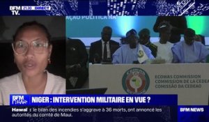 Niger: "Il fallait que la CEDEAO confirme sa prise de position", pour Lova Rinel (chercheuse associée à la Fondation pour la recherche stratégique)