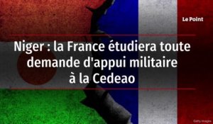 Niger : la France étudiera toute demande d'appui militaire à la Cedeao