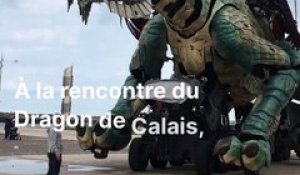 Le dragon de Calais