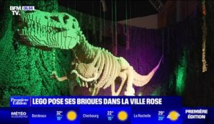 "The Art of The Brick": l'exposition Lego a déjà attiré plus de 50.000 curieux à Toulouse
