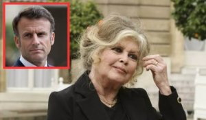 “Un fiasco total”: pourquoi Brigitte Bardot en veut terriblement à Emmanuel Macron ...