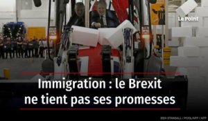 Immigration : le Brexit ne tient pas ses promesses